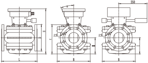腰輪流量計(圖3) 腰輪流量計(圖3)